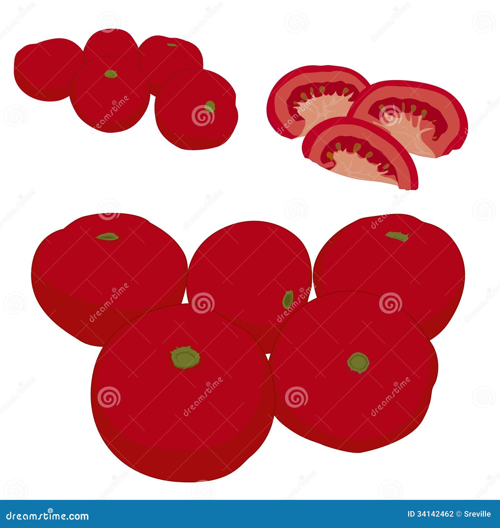 Whole Tomatoes, Chopped Tomato Stock Vector Illustration of gourmet