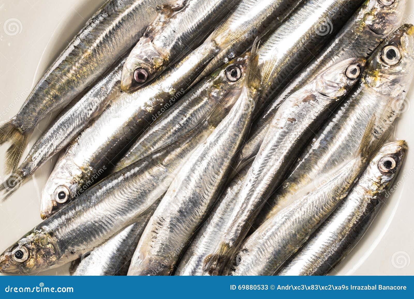 Whole uncooked sardines stock image. Image of healthy 69880533