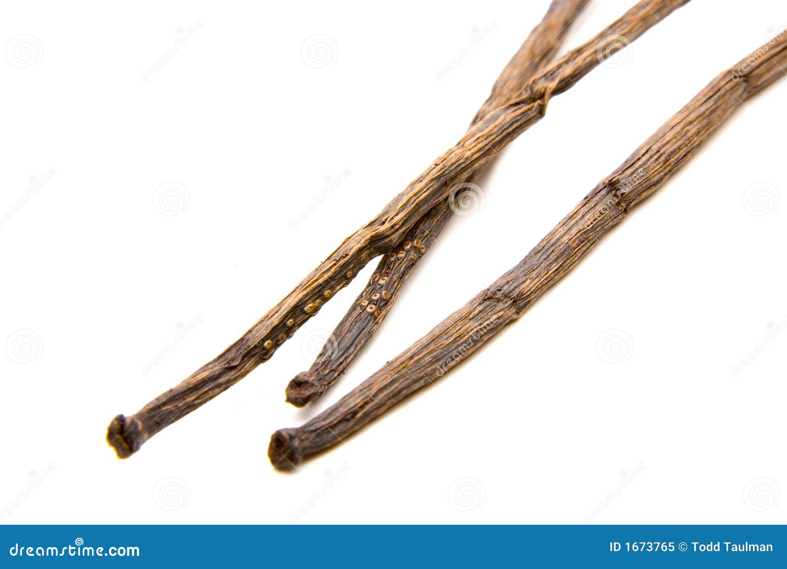 Whole Vanilla Bean stock image. Image of flavour, extract 1673765