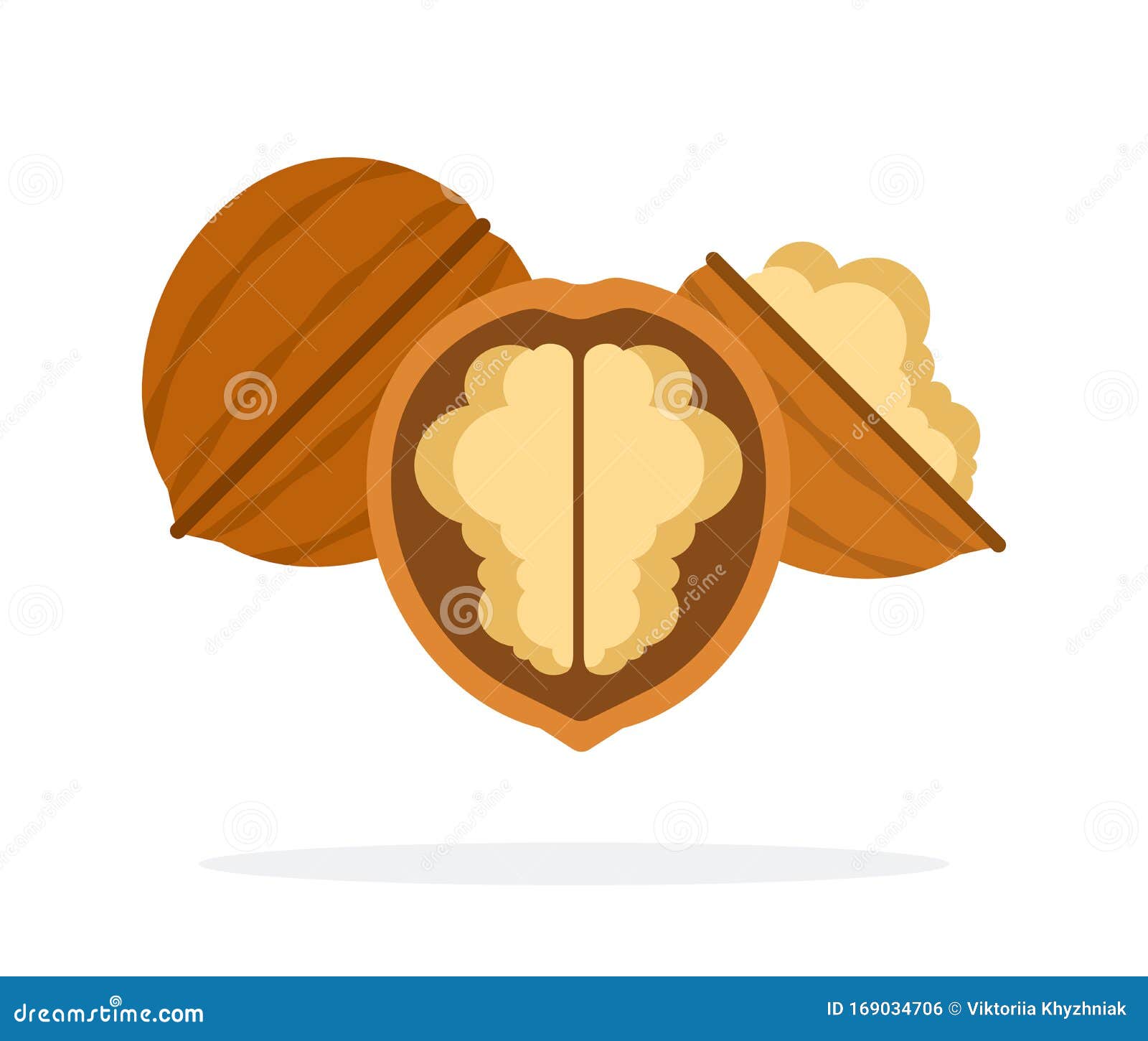 Whole Walnut and Half of Walnuts Flat Isolated Stock Vector