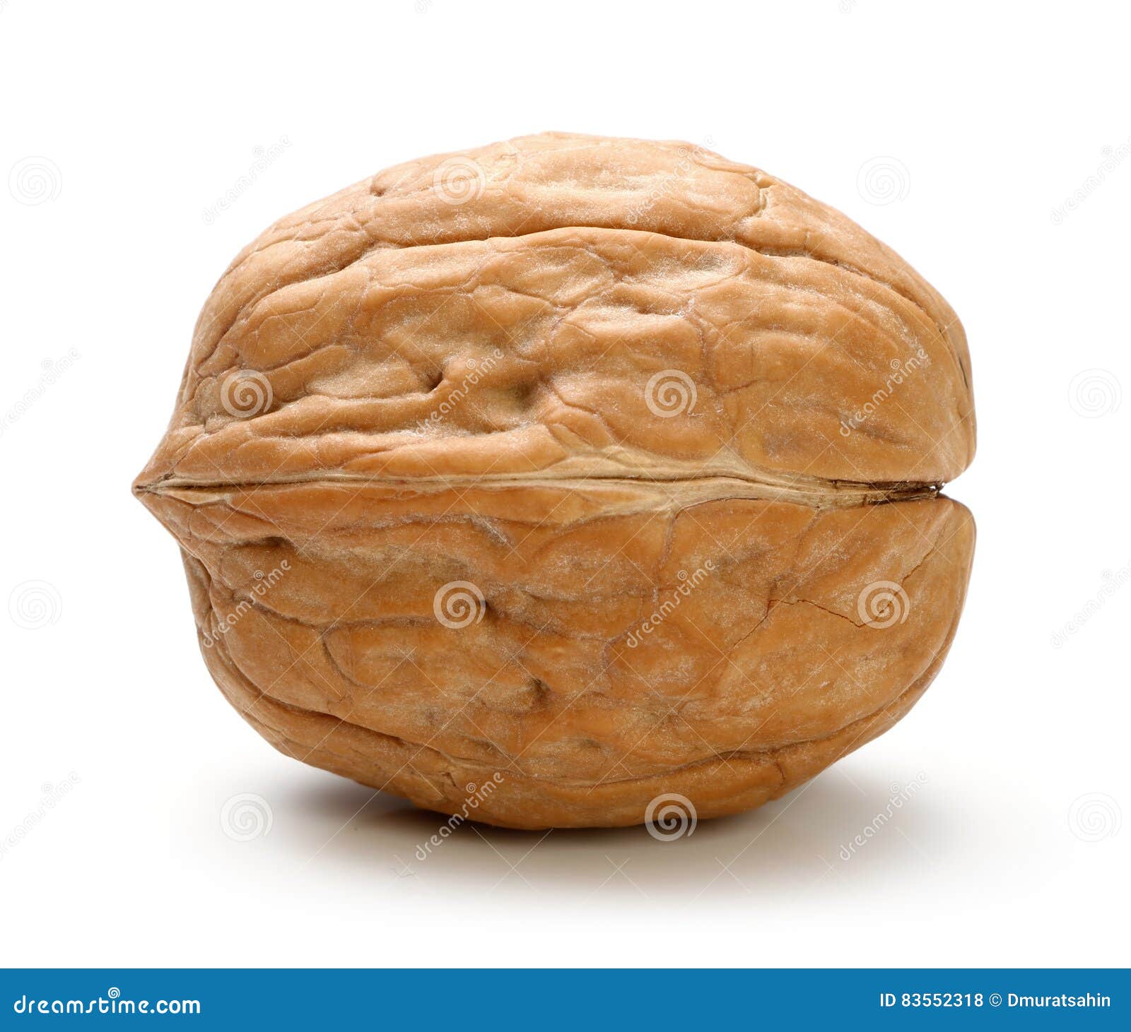 Whole walnut isolated stock photo. Image of dessert, nuts 83552318