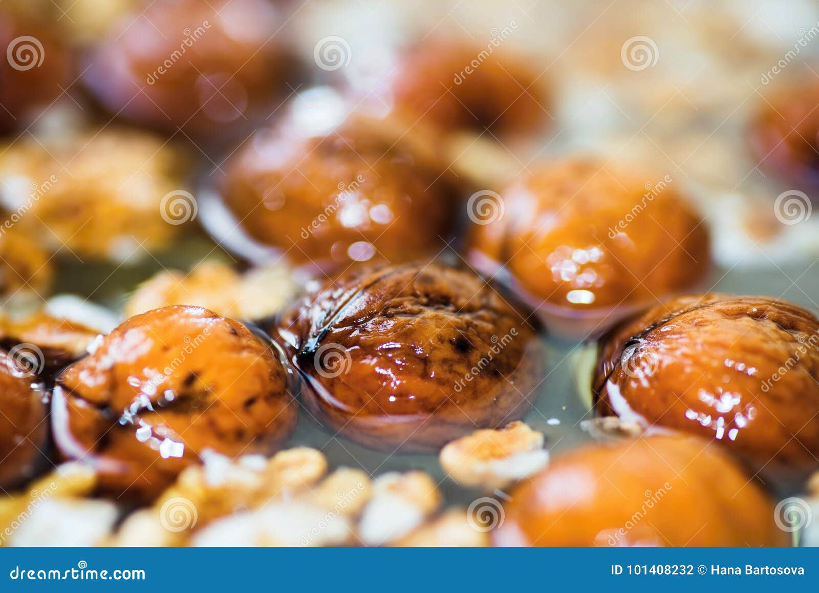 Whole walnut in water. stock photo. Image of ingredient 101408232 Whole walnut in water. stock photo. Image of ingredient 101408232