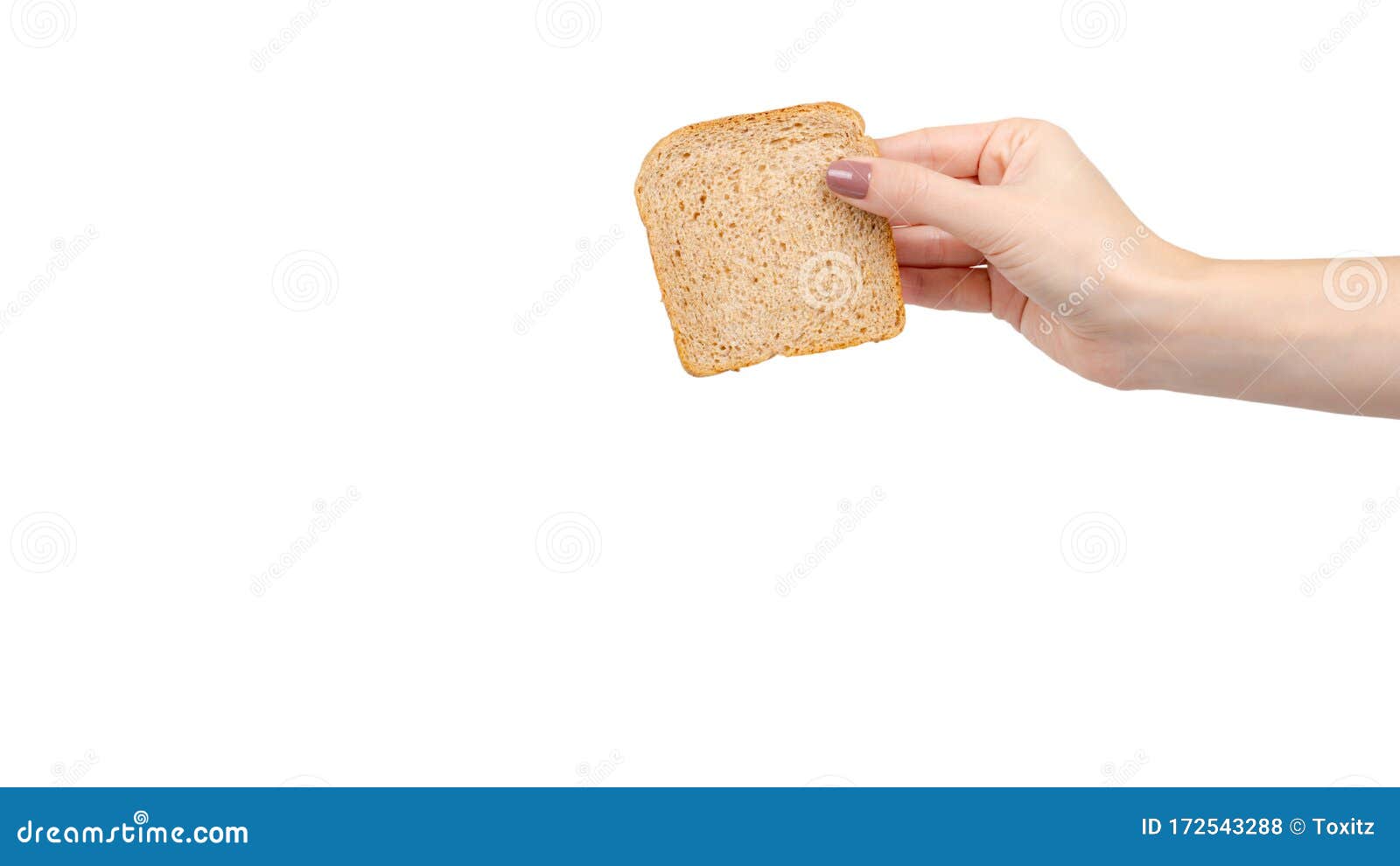 Download Whole Wheat Bread Healthy Food Isolated On White Stock Photo Image Of Grain Give 172543288