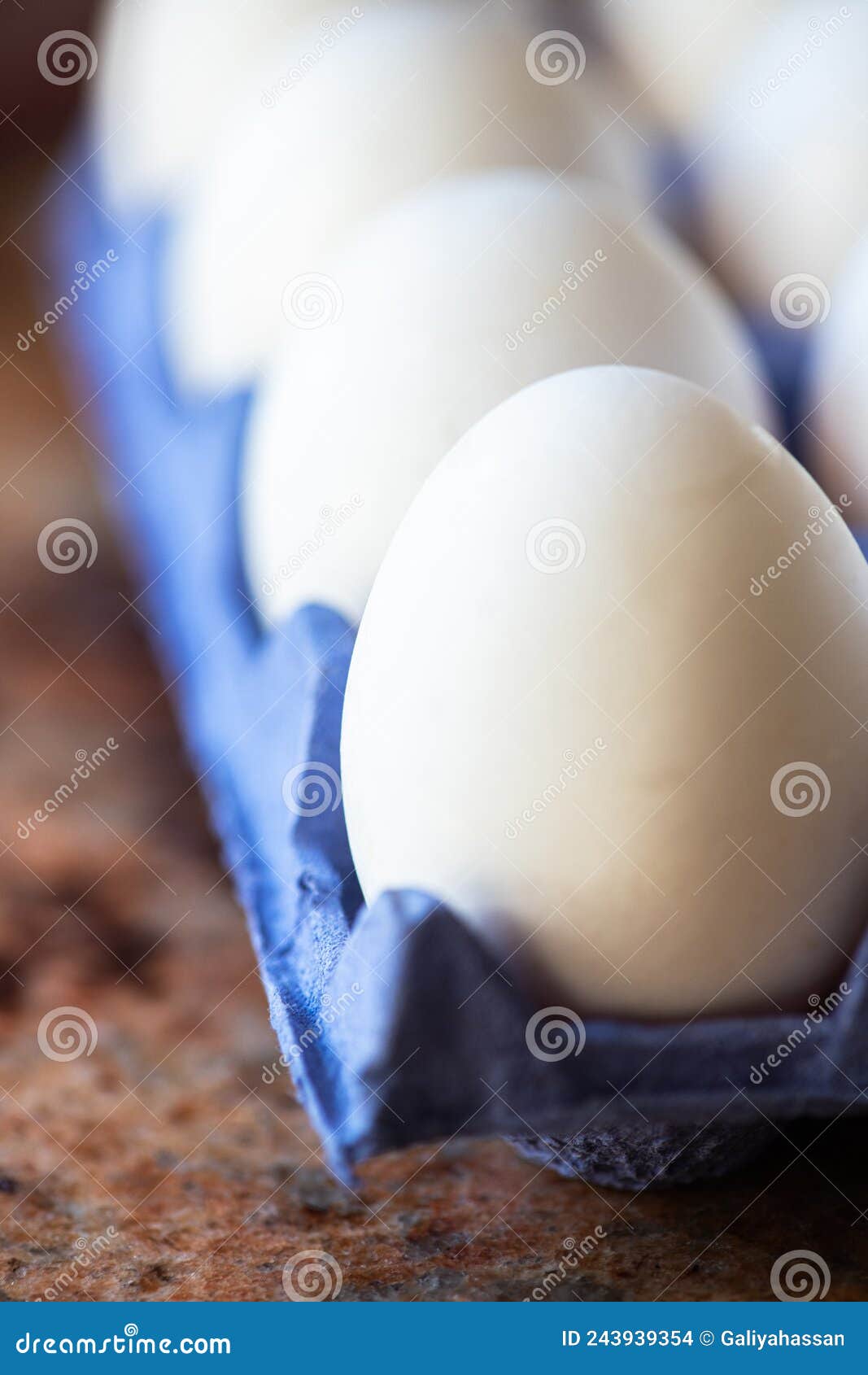 Whole White Egg in a Carton. Macro Photography Stock Photo Image of