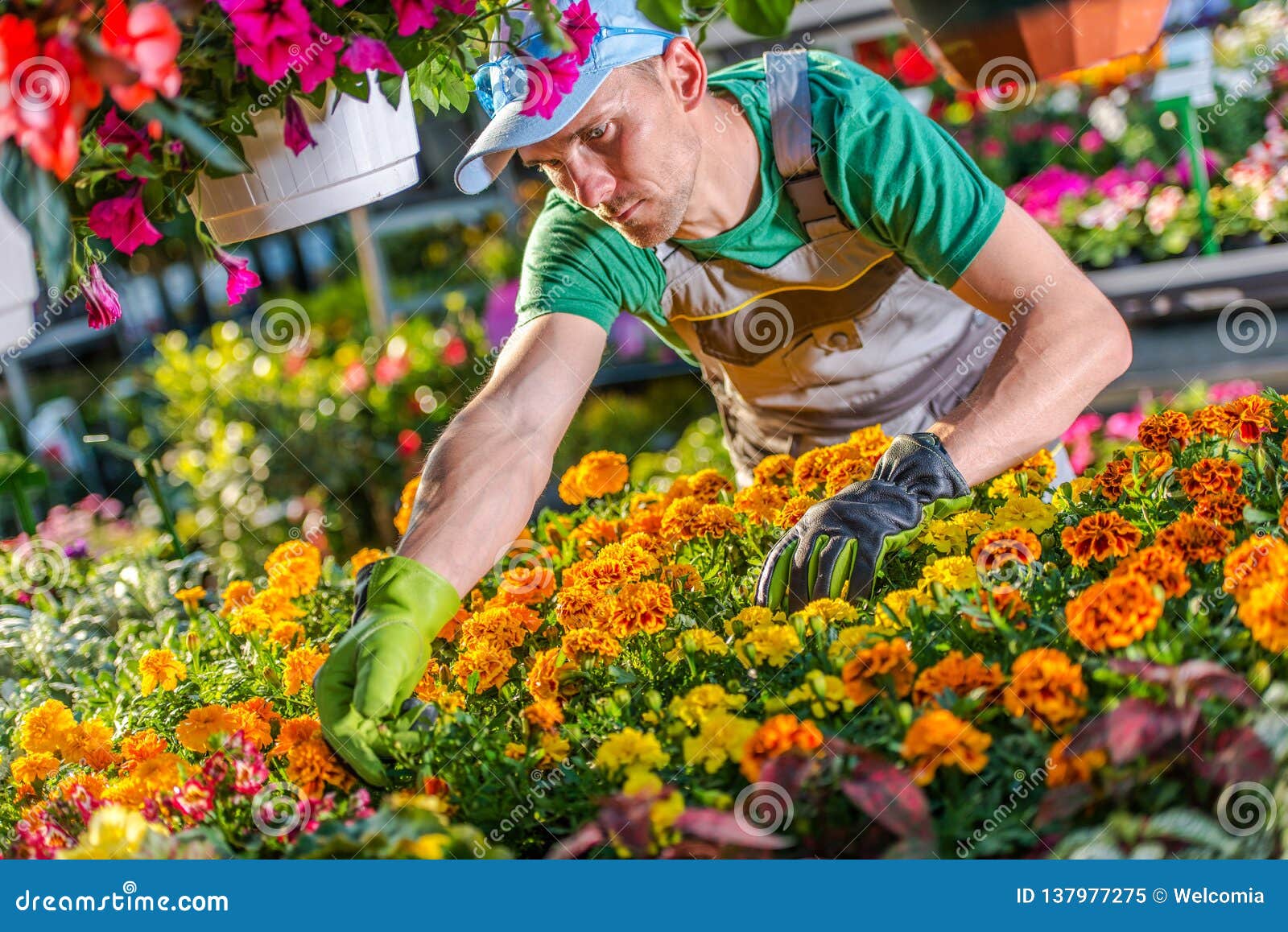 wholesale florist job