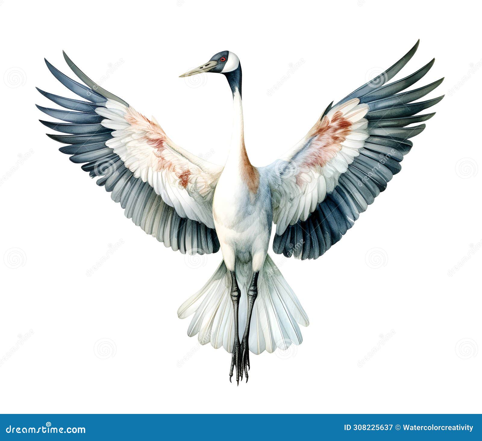 Whooping Crane In The Swamp Stock Photo 277895442