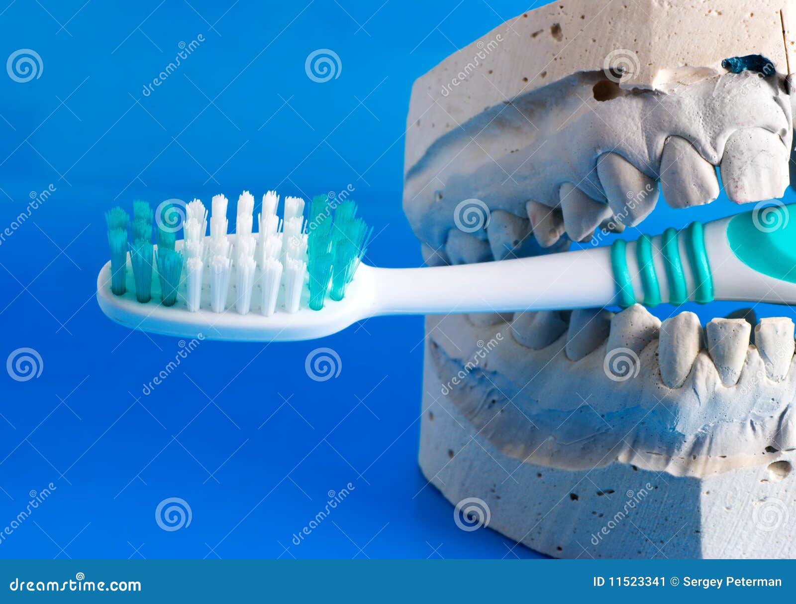 Why to clean your teeth stock image. Image of medical - 11523341