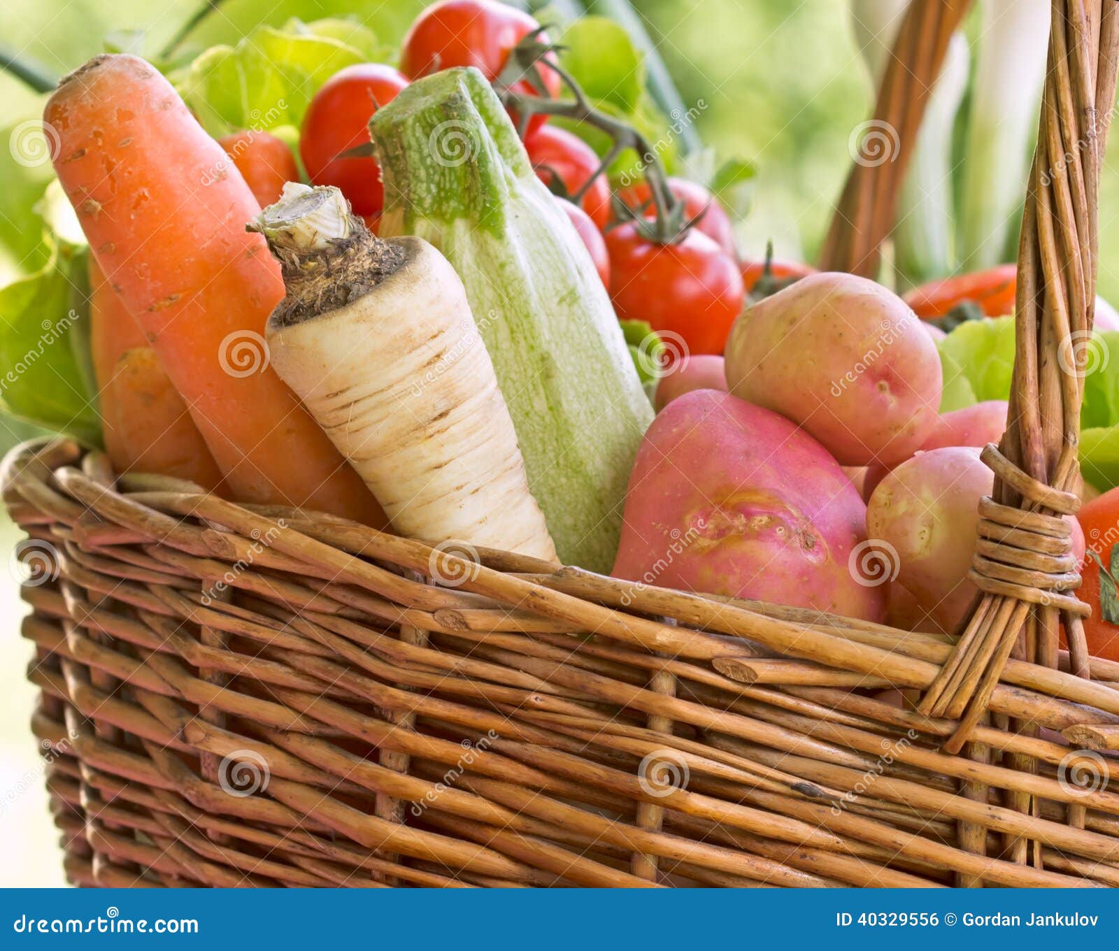 Wicker Basket is Full with Organic Vegetables Stock Photo Image of