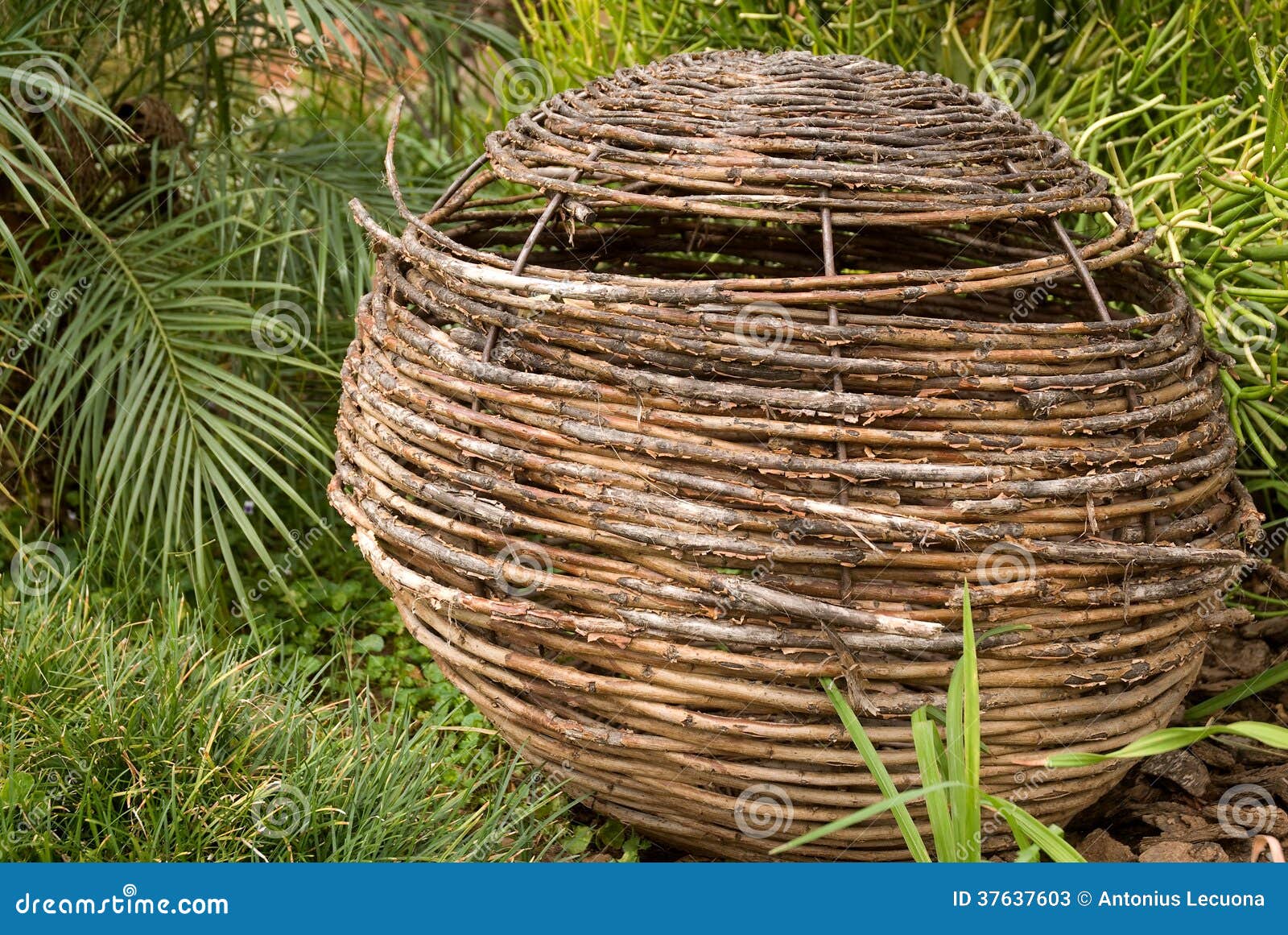 Wicker basket in a garden stock image. Image of garden 37637603