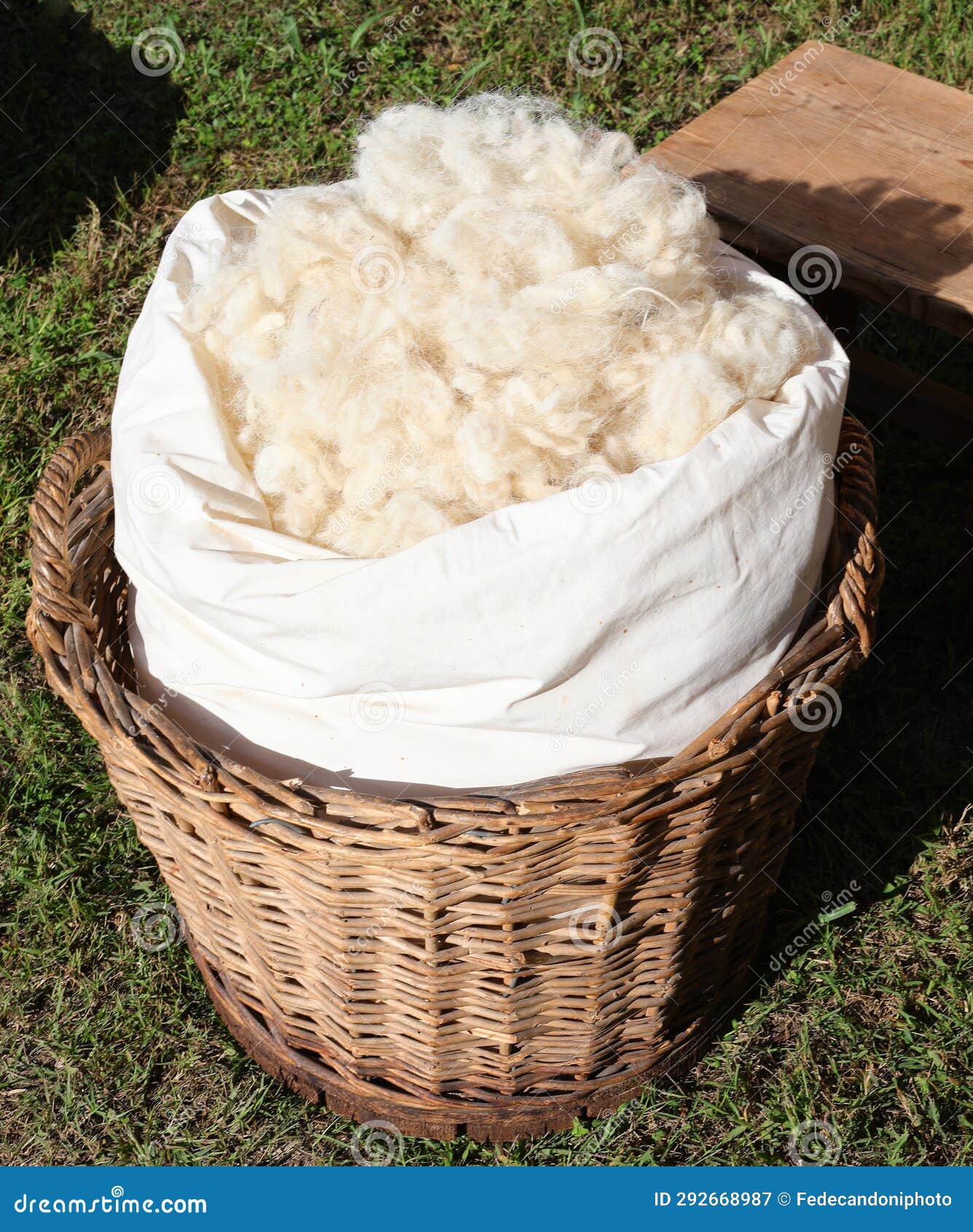 Wicker Basket with a Pile of Wool Inside To Be Treated and Spun Stock