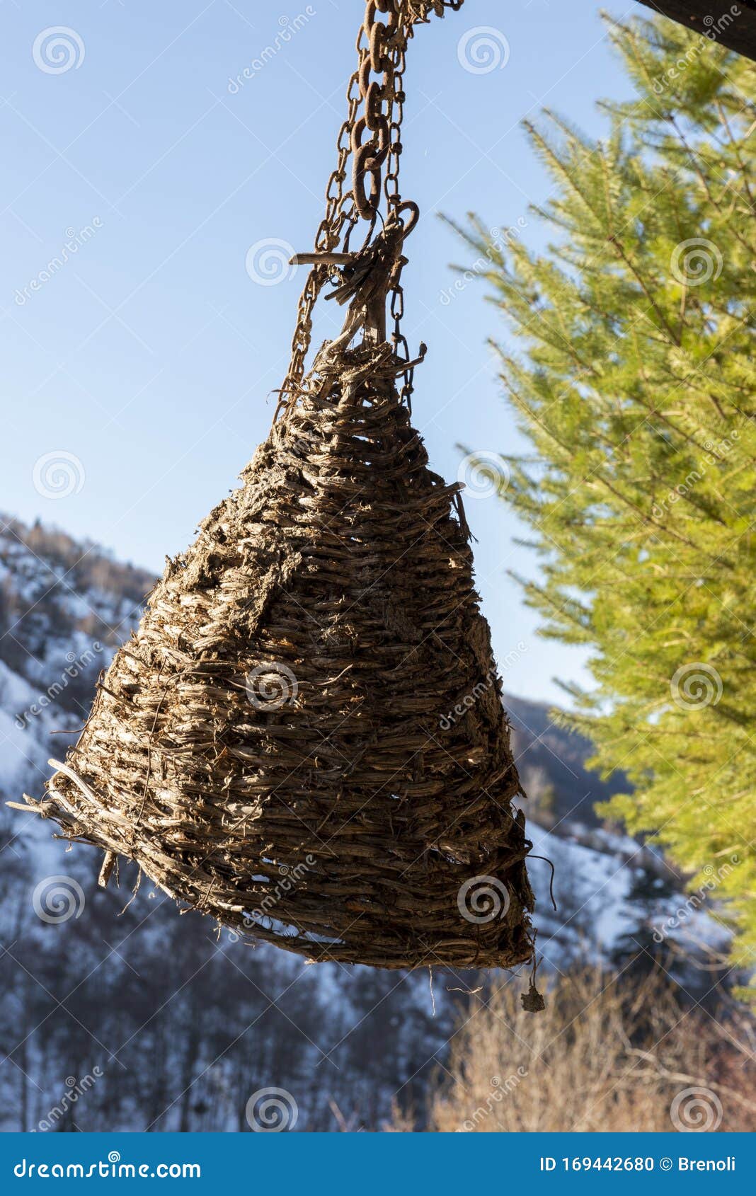 Wicker beehive stock photo. Image of bees, basket, honeybee - 169442680