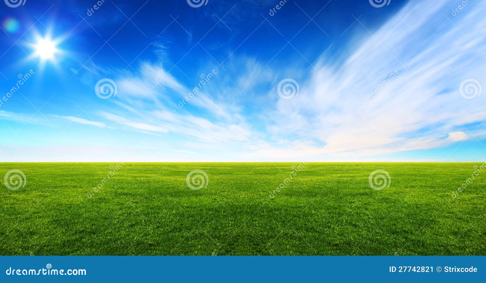 wide image of green grass field