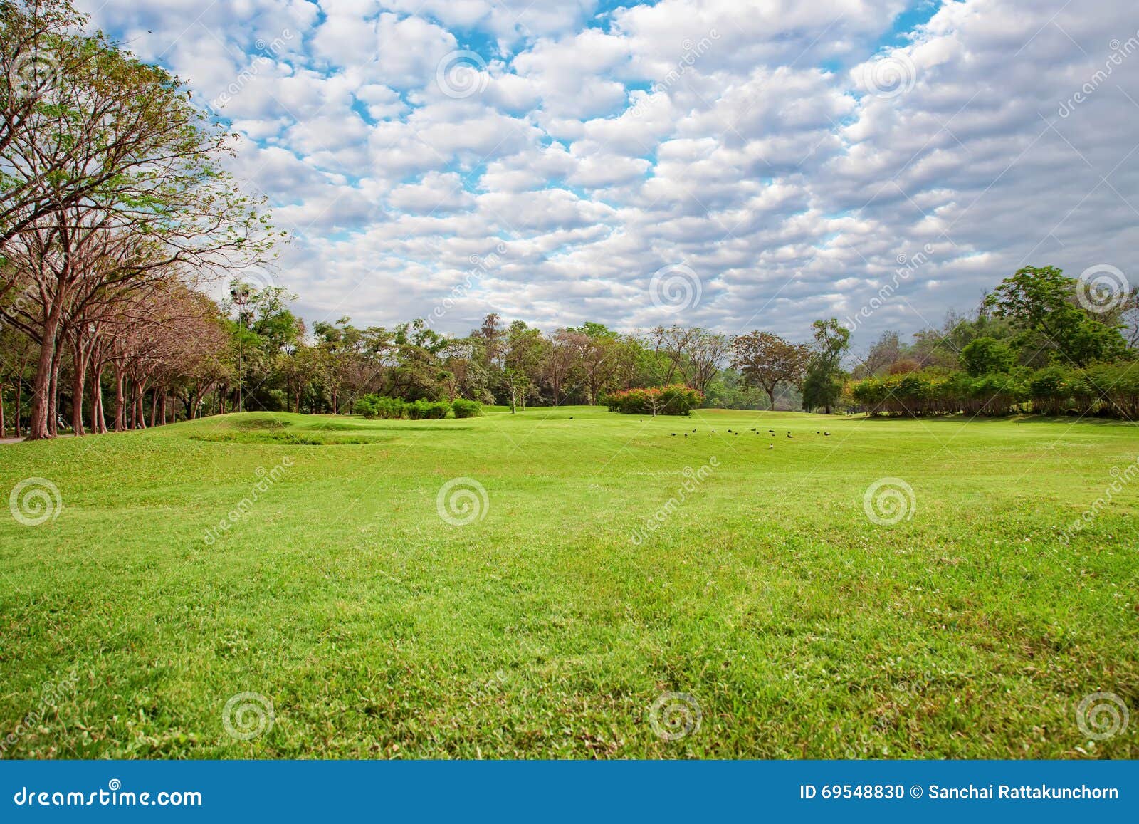 Image of a Big Pot With Design In a Lawn Of a Park-PE825562-Picxy