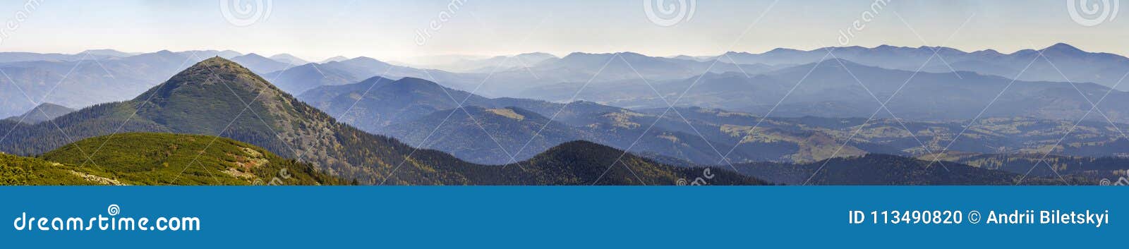 wide panorama of green mountain hills in sunny clear weather. carpathian mountains landscape in summer. view of rocky peaks covere