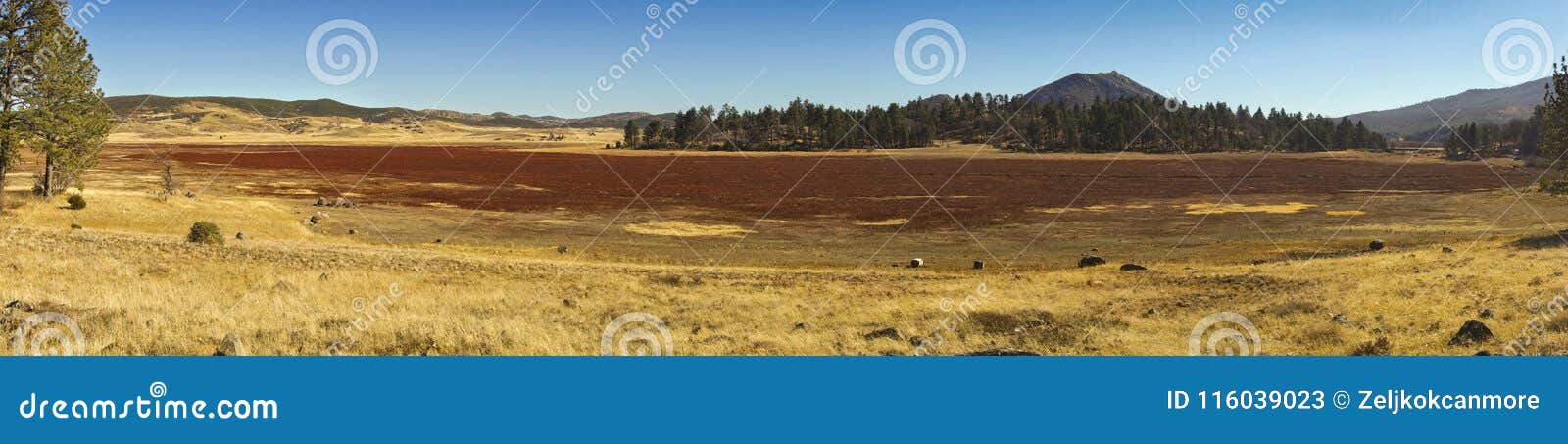 us plains wide panoramic landscape cuyamaca rancho state park san diego county