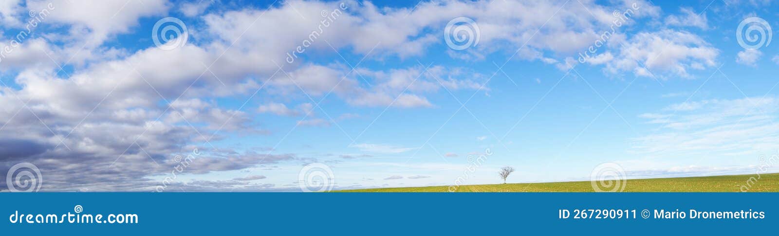 wide panoramic view of blue skies and white scattered clouds and green ground with a single tree