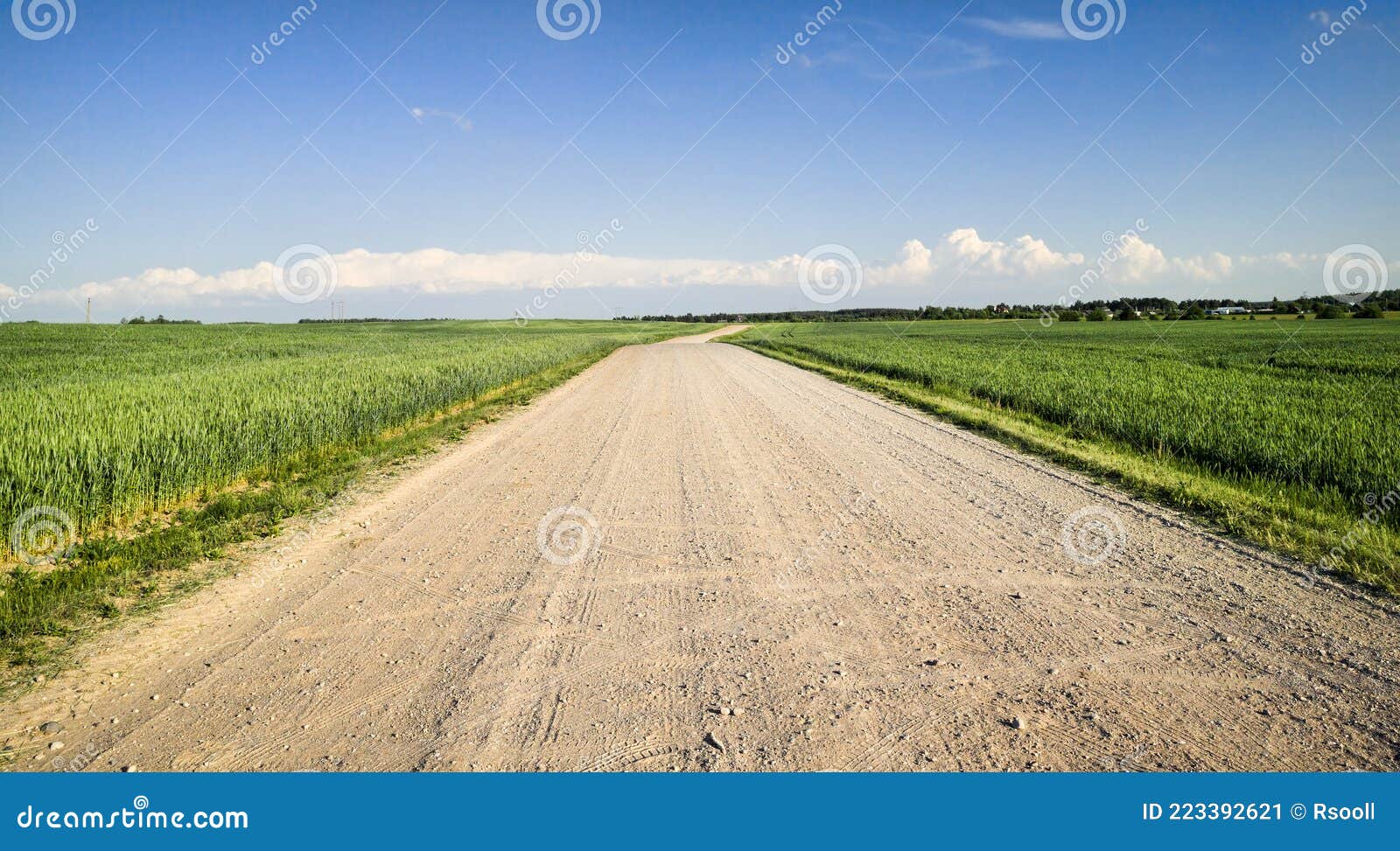 Wide Sandy Road Stock Image Image Of Forked Including 223392621 wide-sandy-road-stock-image-image-of-forked-including-223392621