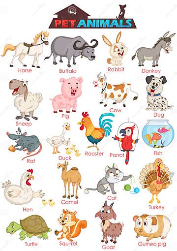 Wide Variety of Pet Animals Stock Vector - Illustration of mammal, cute ...