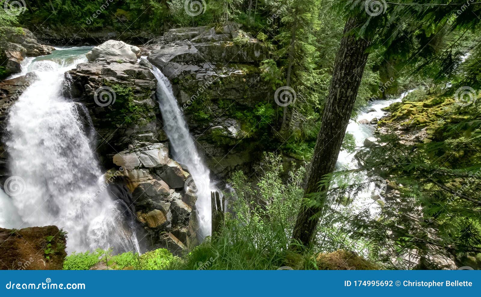 Wide View of Nooksack Falls and River in Washington State Stock Photo