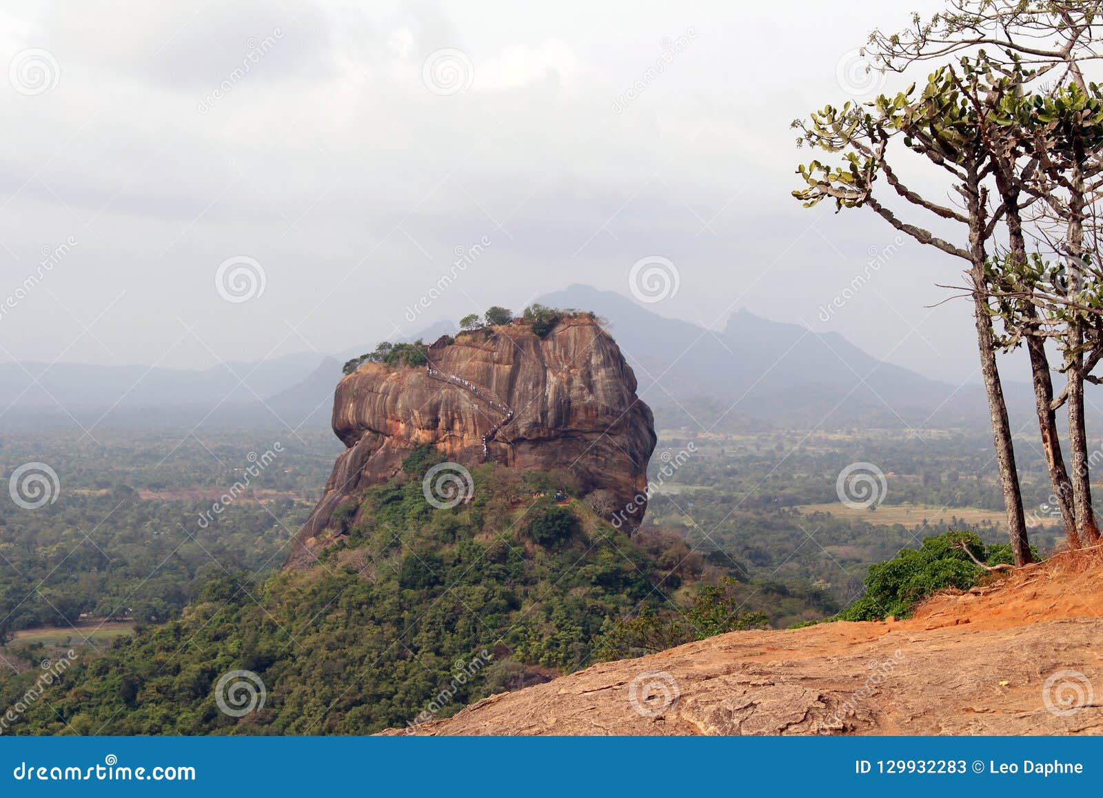 the wide view from pidurangala rock, not far from sigiriya