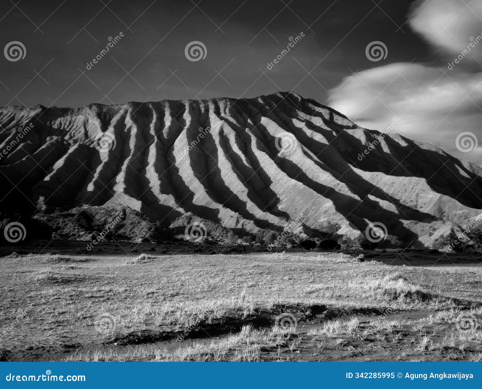 widodaren hill bromo east java indonesia