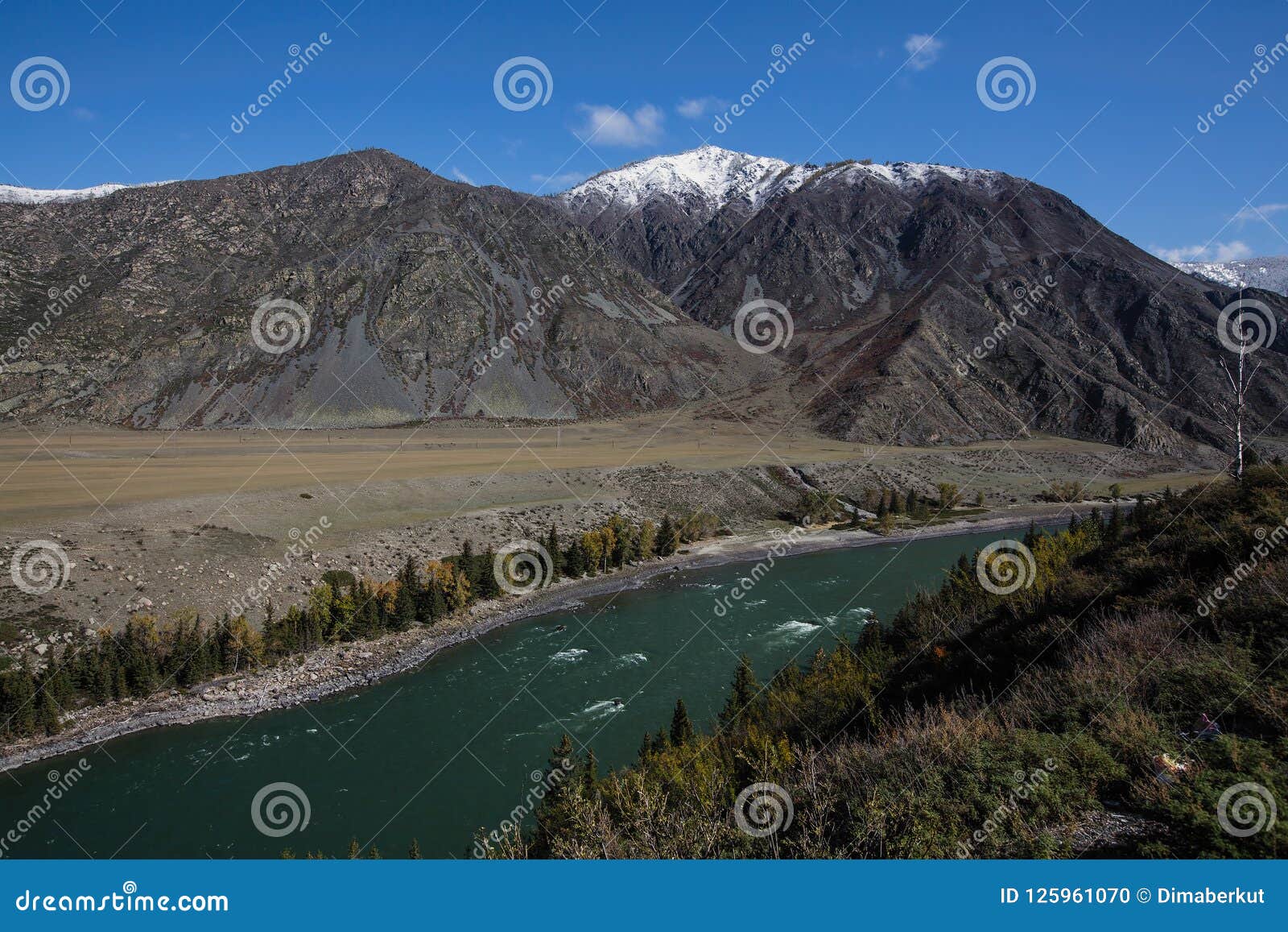 Widok Katun rzeka w Altai górach przy Altai republiką, Rosja