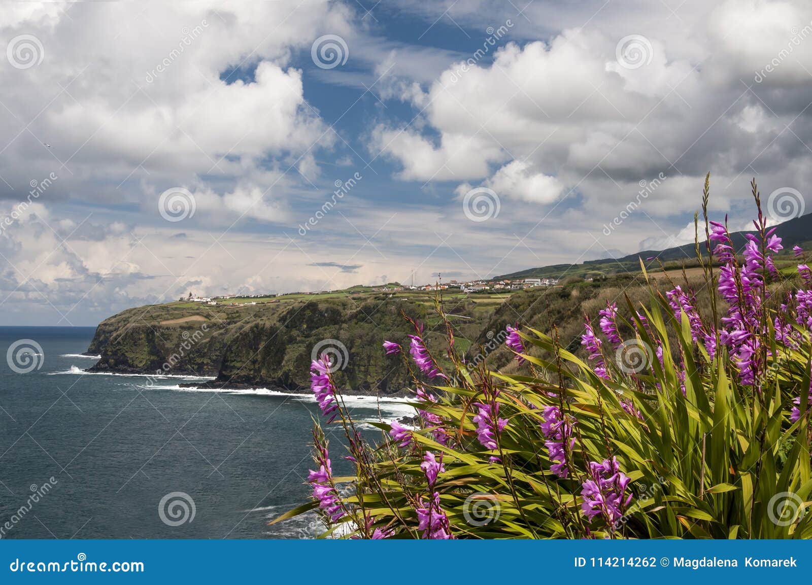 Widok na falezach od Miraduro da Rocha, Azores. Panoramiczny widok na falezach od Miraduro da Rocha z chmurnym niebieskim niebem i pięknym Watsonia kwitnie w przodzie, Sao Miguel, Azores