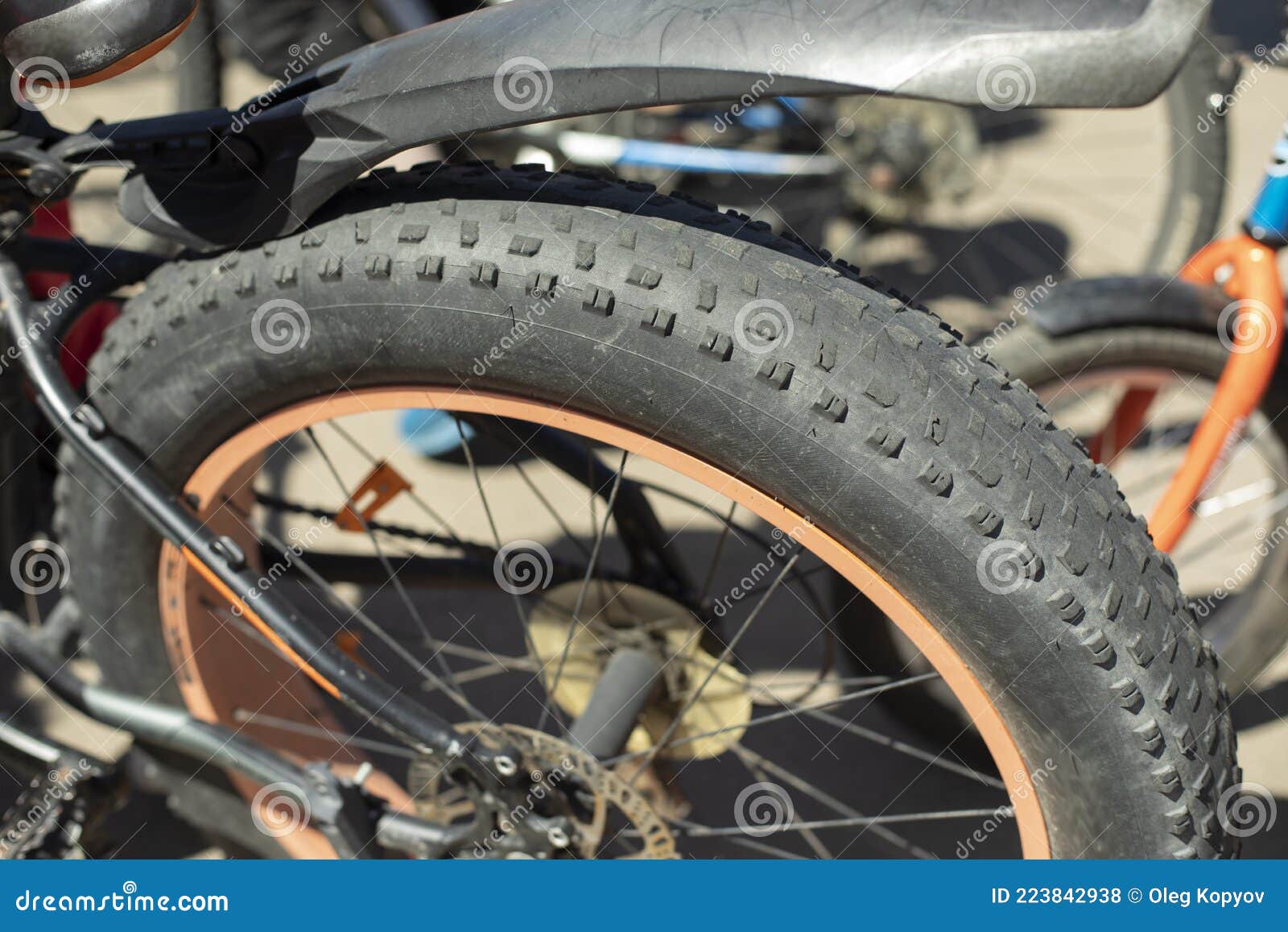 zingen hoofdstuk overschrijving Wiel. Brede Fietsband. Modderloopvlak Stock Foto - Image of fietsen,  schijf: 223842938