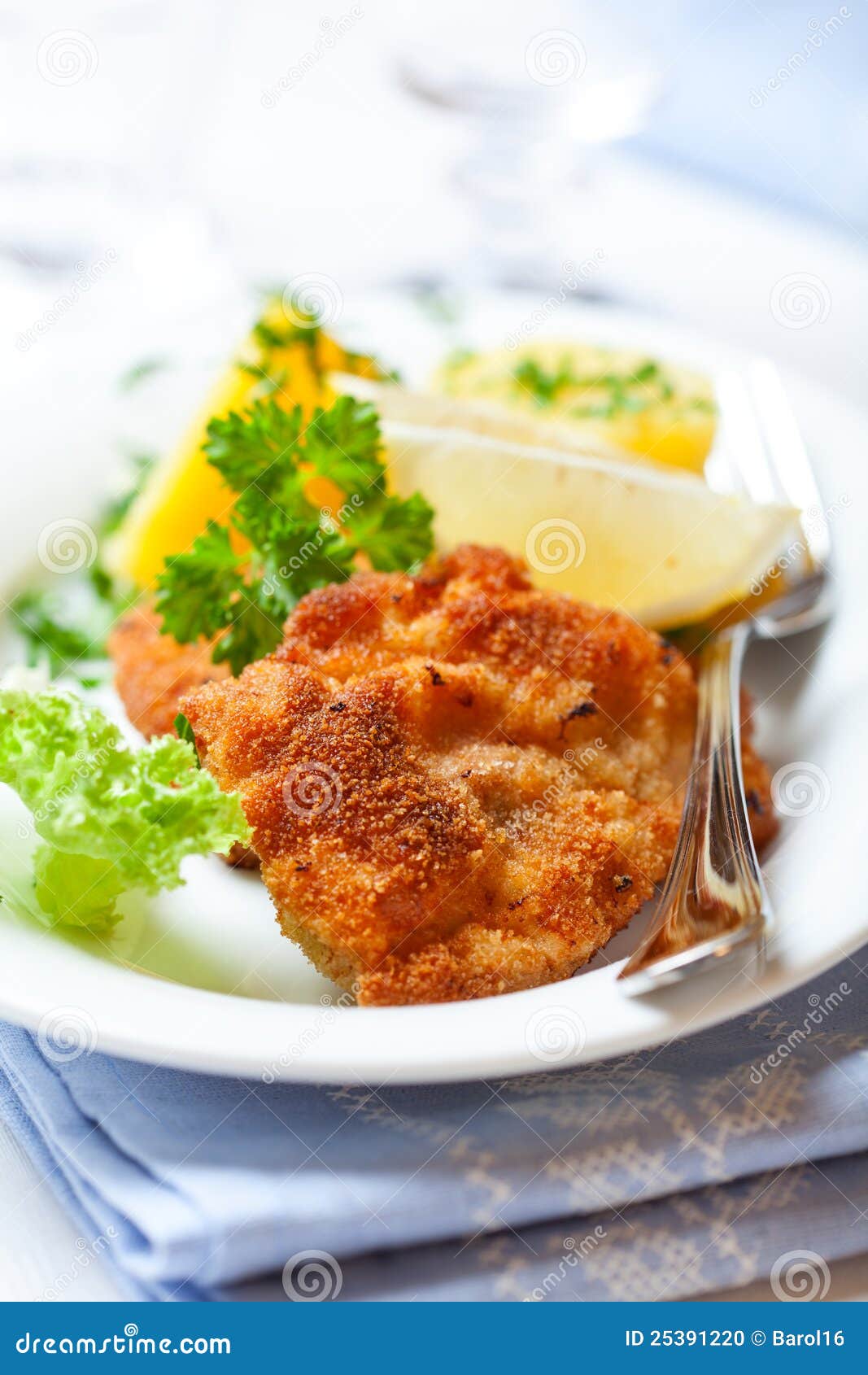 Wiener Schnitzel stock photo. Image of potatoes, fruit - 25391220