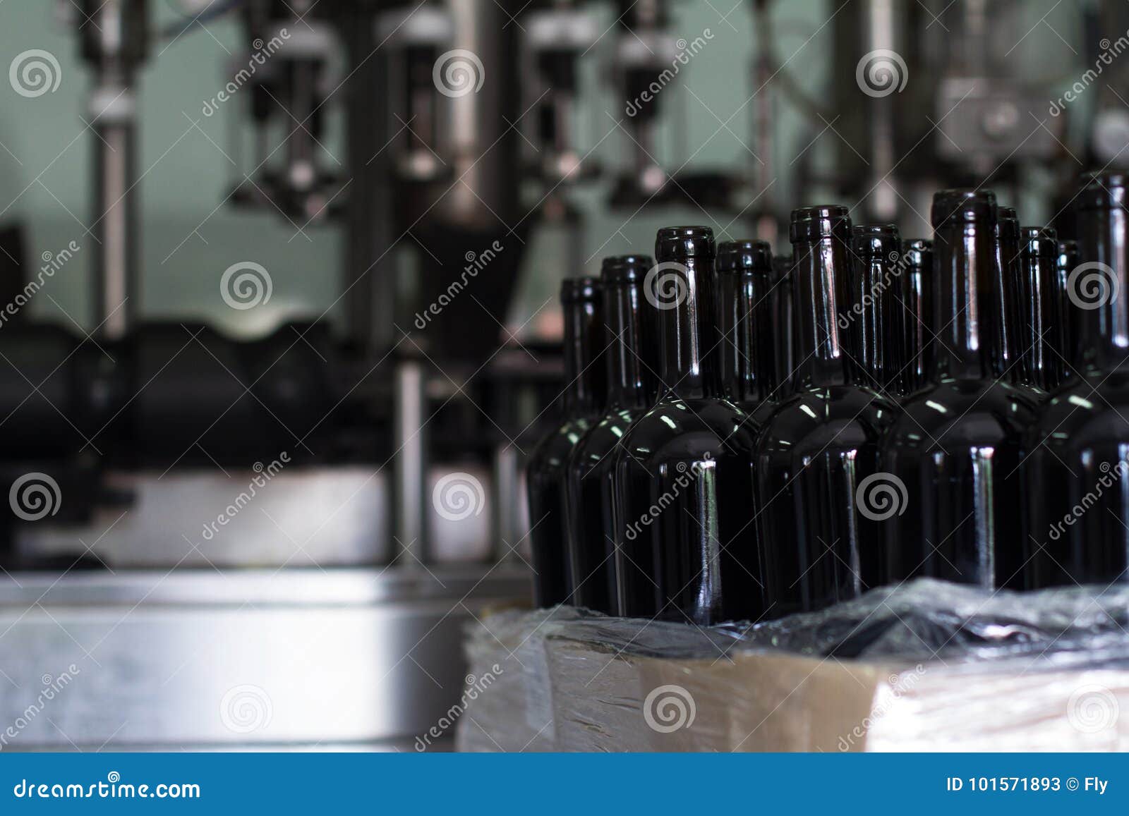 Wijn die bij de wijnmakerij worden gebotteld. Vooraanzichtclose-up van lege rode wijnflessen in rijen op de productielijn bij de wijnmakerij