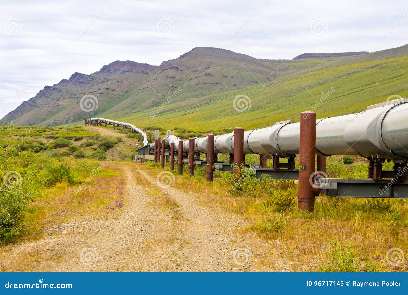 wild alaska pipeline