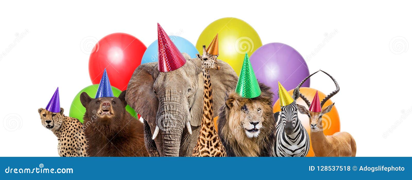 wild animal birthday party web banner