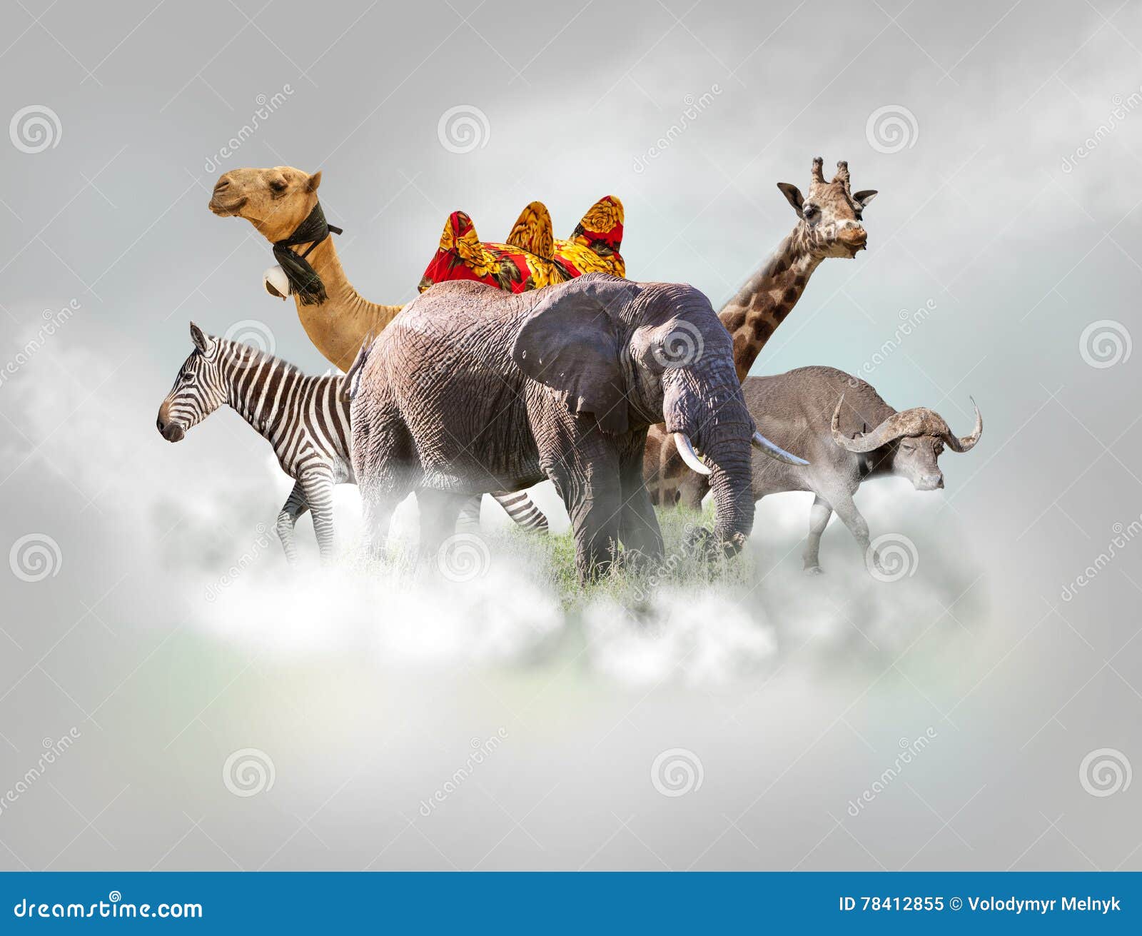 Wild Animals Group Giraffe, Elephant, Zebra Above White Clouds in