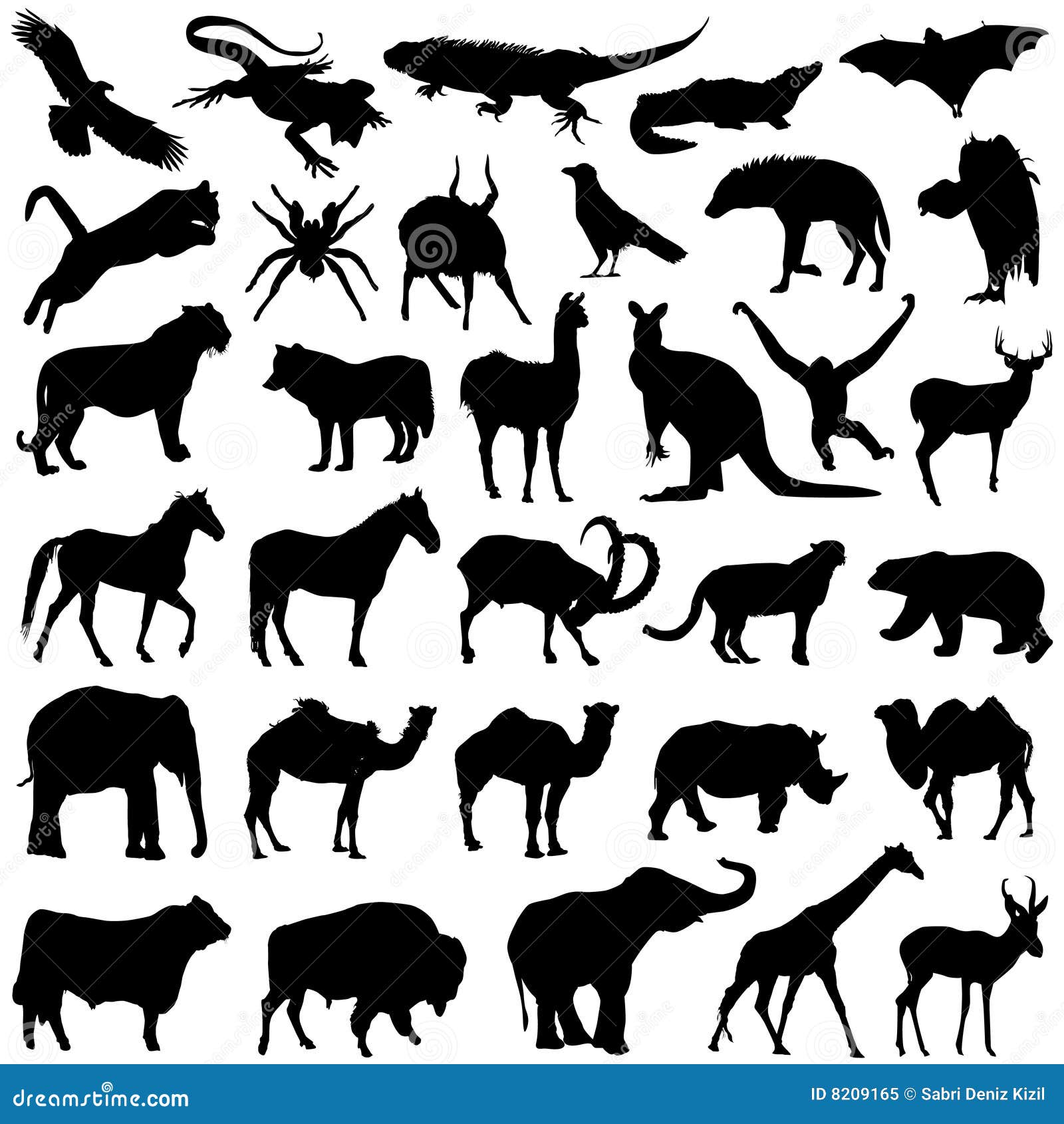 Wild animals set stock vector. Illustration of vulture - 8209165 Wild animals set stock vector. Illustration of vulture - 8209165