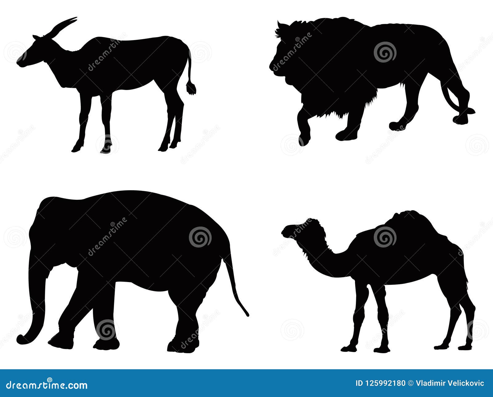 wild animals silhouette - undomesticated animal species