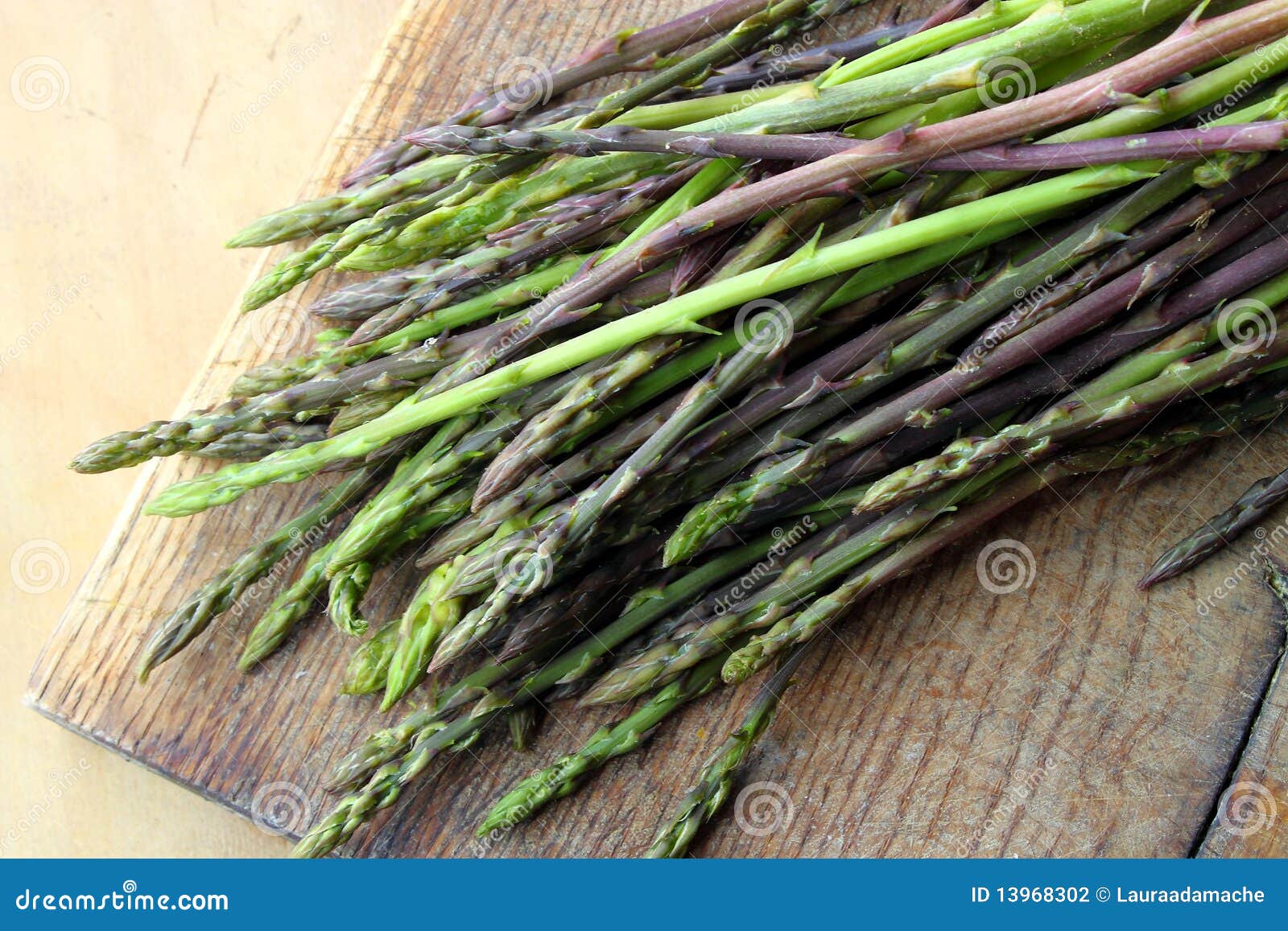 Wild asparagus stock photo. Image of green, vegetable 13968302