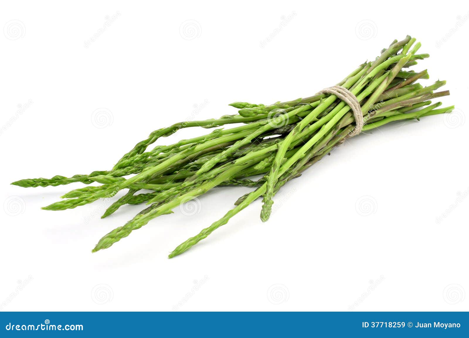 Wild asparagus stock image. Image of vegetarian, background - 37718259