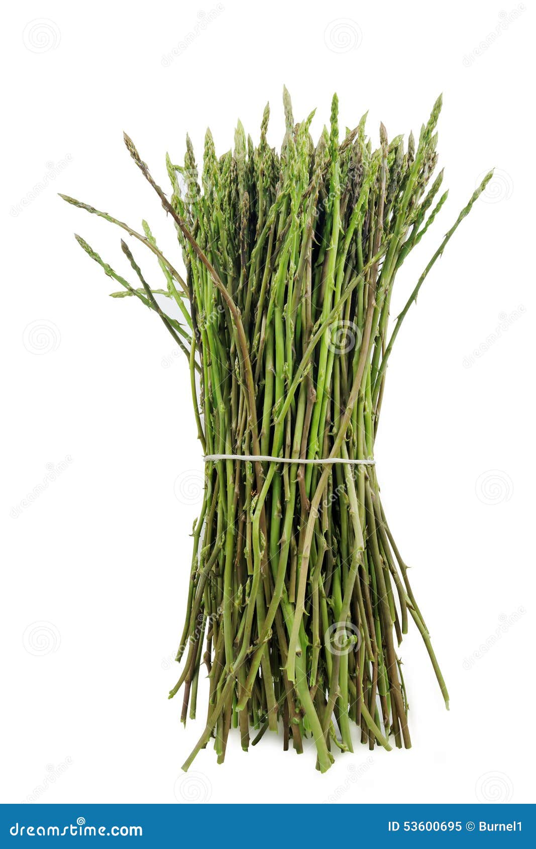Wild asparagus stock image. Image of vertical, cooking - 53600695