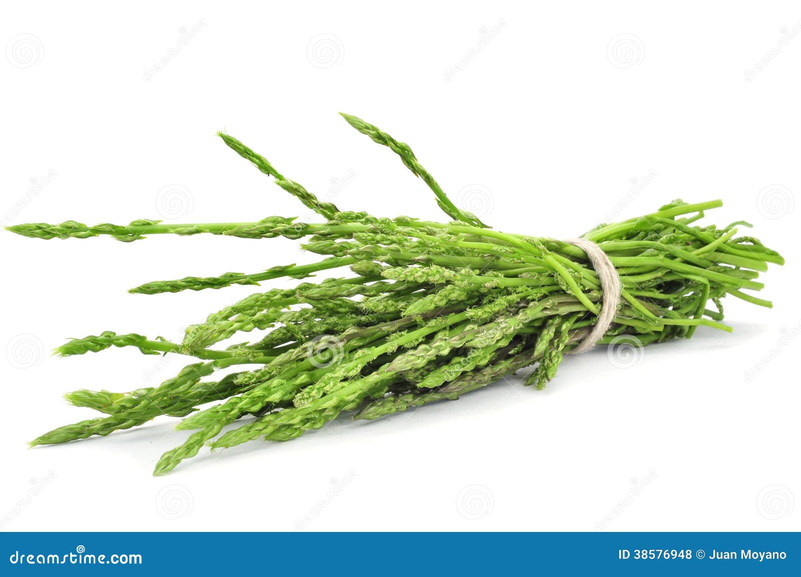 Wild asparagus stock photo. Image of isolated, diet, natural 38576948