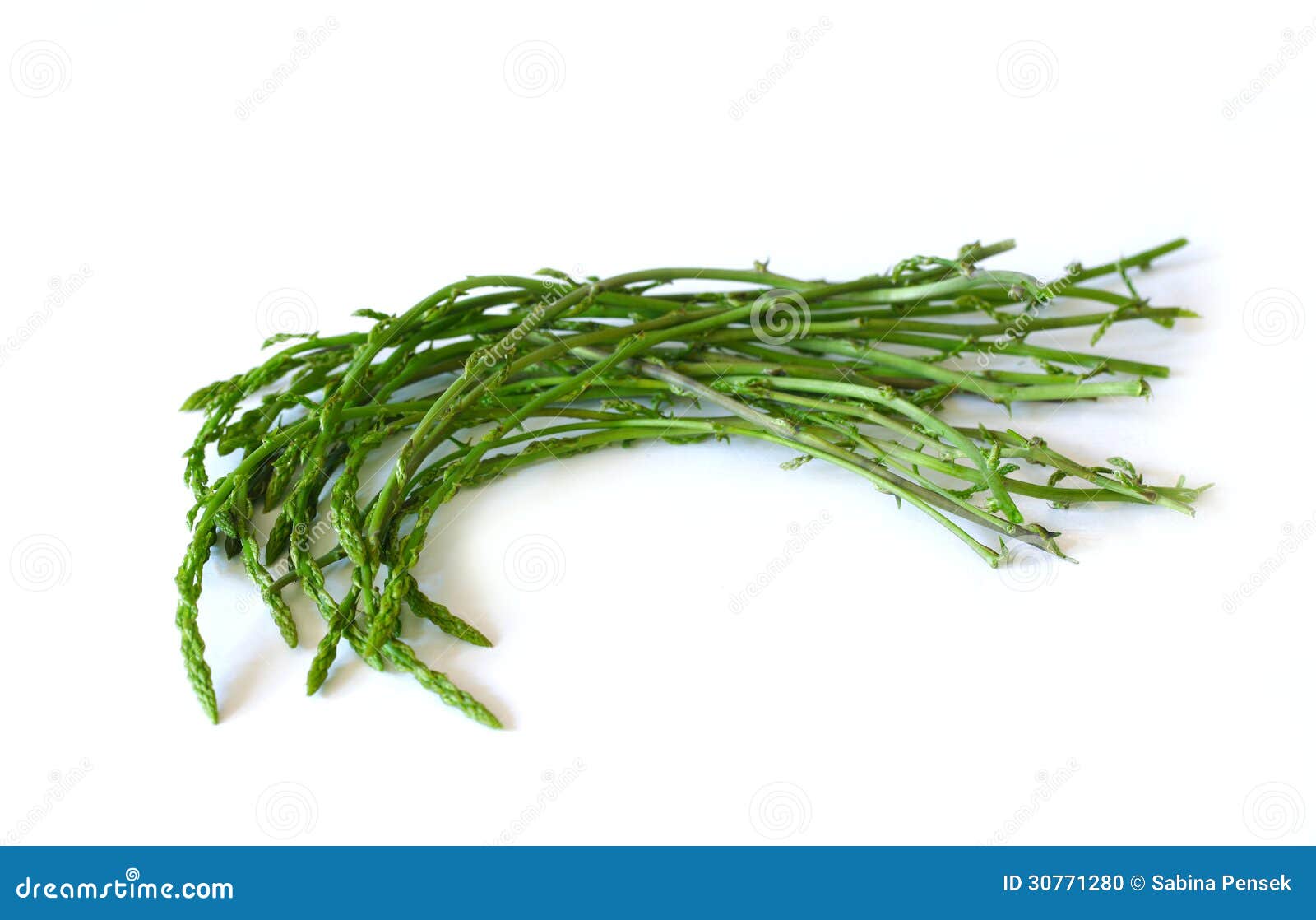 Wild Asparagus On White Background, Isolated Stock Photo - Image of