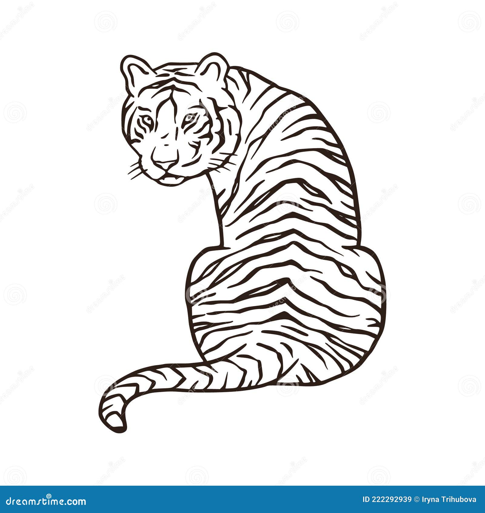 Wild bengal tiger nature mammal cartoon animal Vector Image