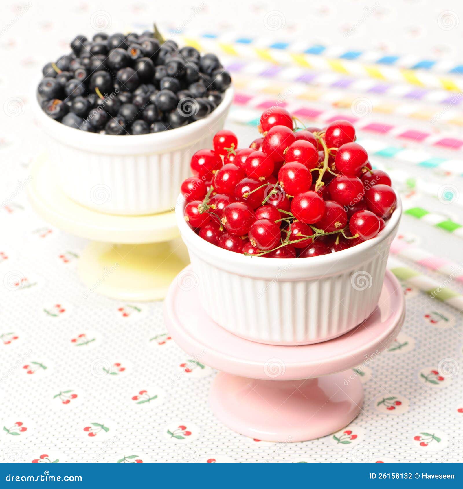Wild berries in bowls stock photo. Image of blackberry 26158132