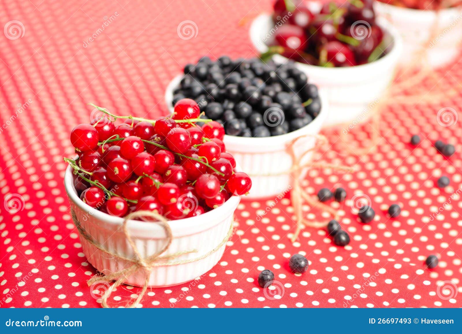 Wild berries in bowls stock image. Image of diet, natural 26697493