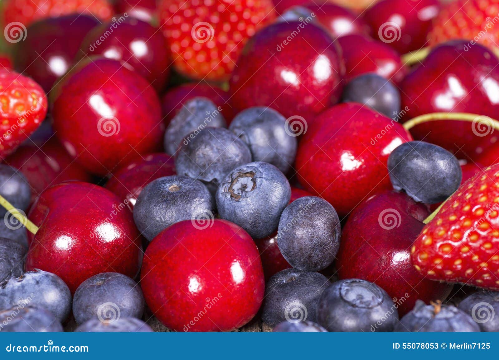 Wild berries and cherries stock image. Image of blueberries 55078053