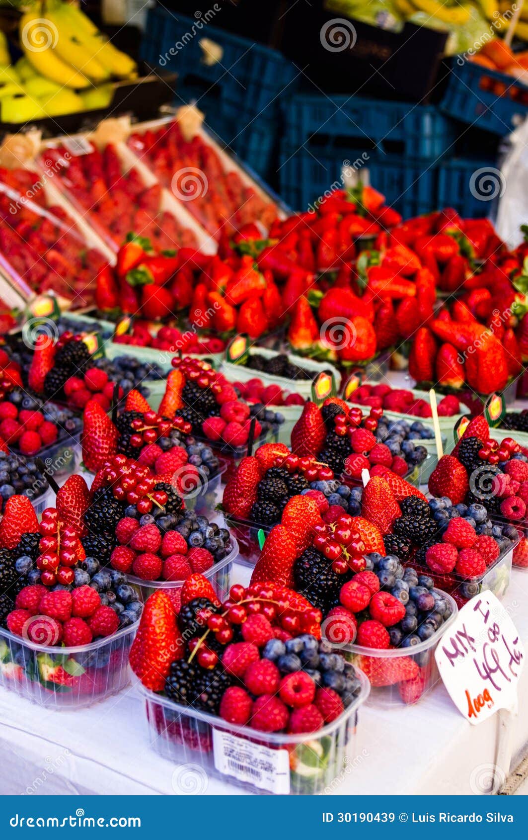 Wild berries at the market stock image. Image of blackberries 30190439
