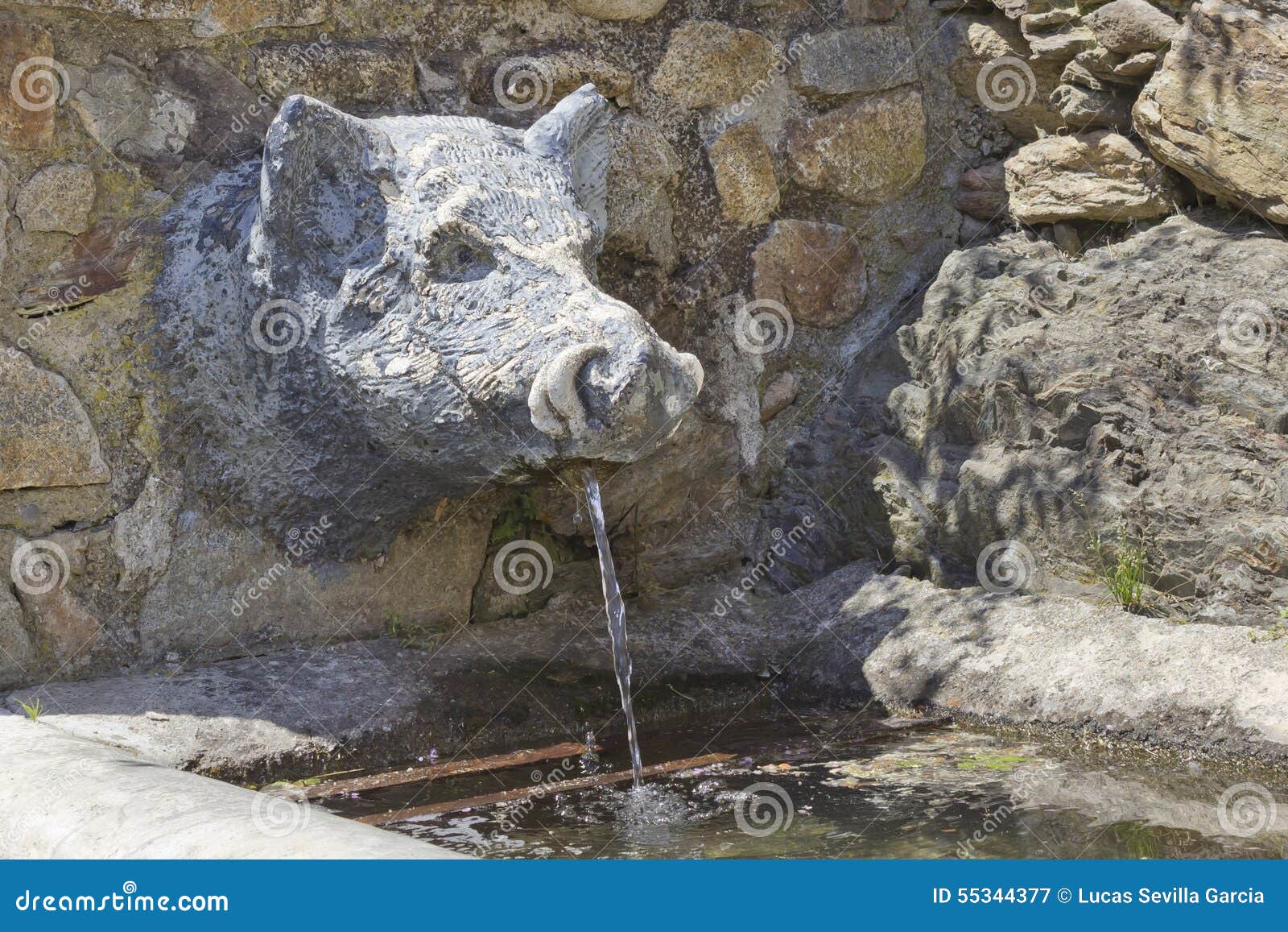 Wild boar fountain stock image. Image of background, architecture