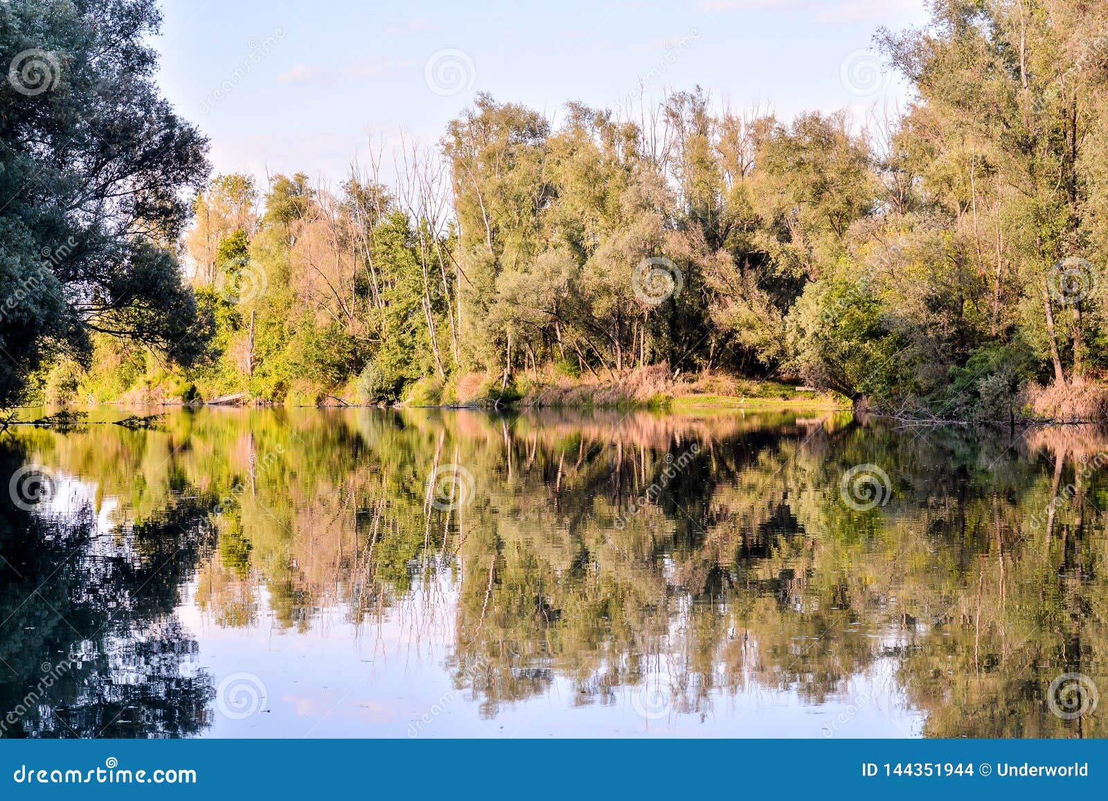 Wild Brenta River stock photo. Image of park, veneto - 144351944