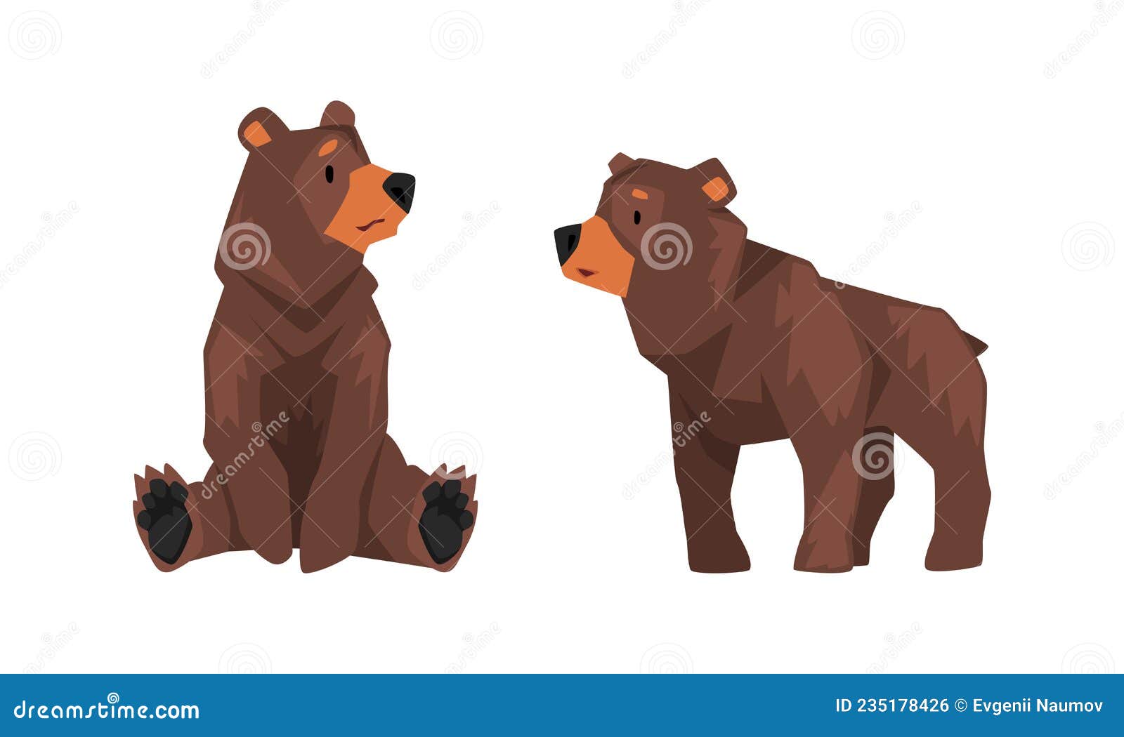 Wild Brown Grizzly Bear As Forest Habitant in Standing and Sitting Pose Vector Set Stock Vector - Illustration of zoology, pose: 235178426 Wild Brown Grizzly Bear As Forest Habitant in Standing and Sitting Pose Vector Set Stock Vector - Illustration of zoology, pose: 235178426