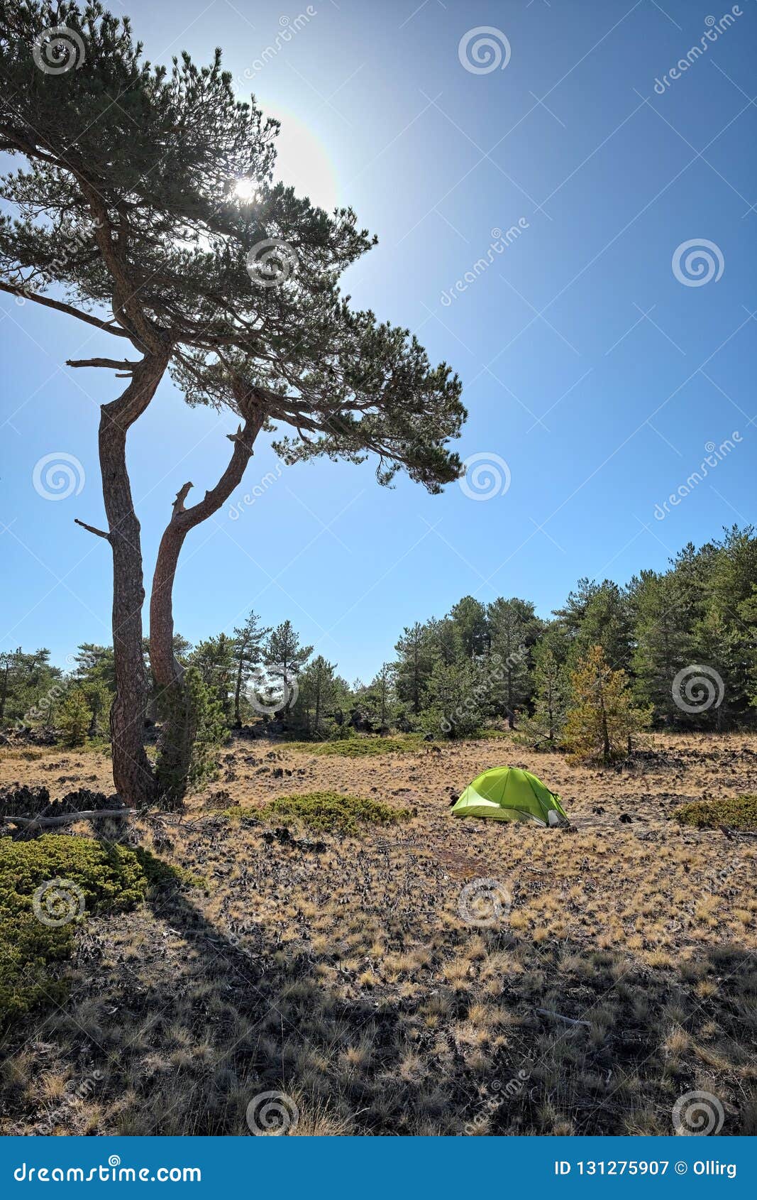 Wild Camp in Etna Park, Sicily Stock Image Image of campground, panorama 131275907