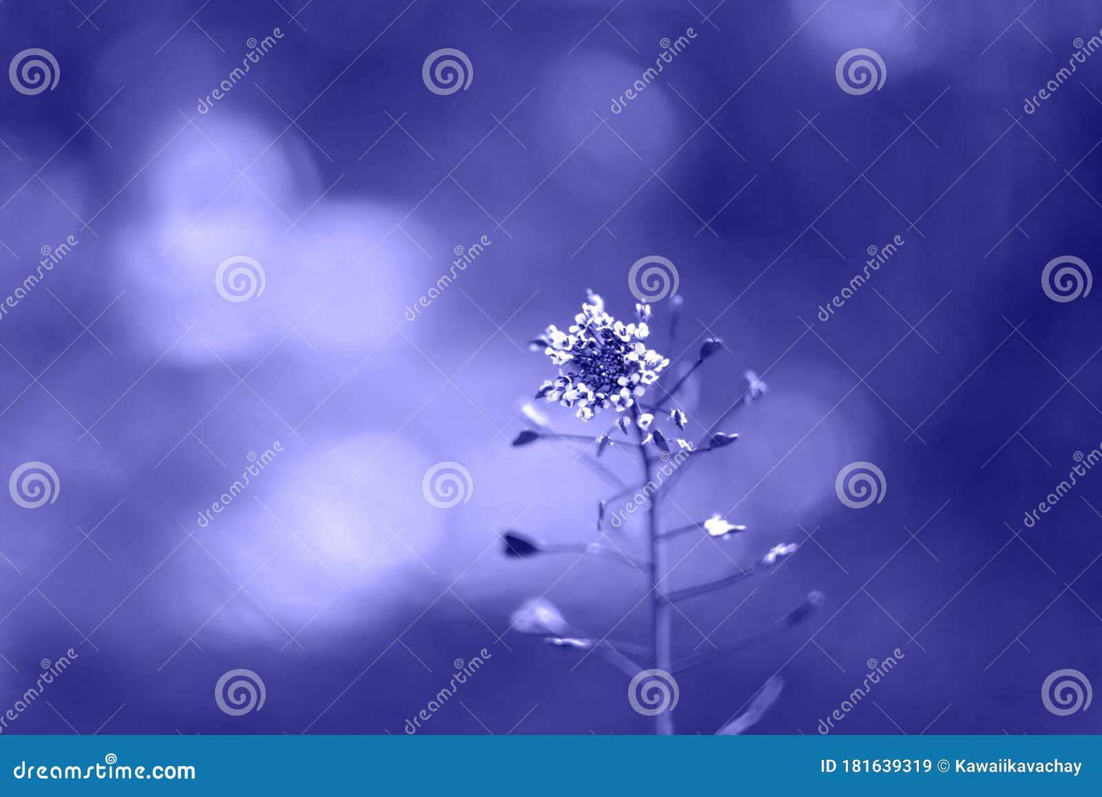 189103 Blue Heart Wallpaper Images Stock Photos  Vectors  Shutterstock